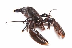 55769bf4-19ff-4ff9-878f-0a12a117e138