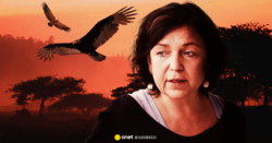 Szokujące zachowanie polskiej reżyserki Joanny Kos-Krauze: "Leżałem na podłodze i płakałem a ona krzyczała na mnie, kopała, szturchała nogą"