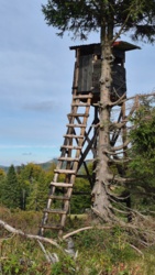 8622d0f6-4b37-48b1-a55e-e654ca9ecd53