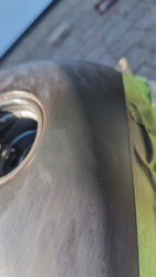 5a01dfeb-faf8-4e5f-96dd-2e8066598d72