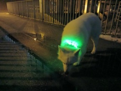 d730a202-66f2-4018-8aa2-5706e34f331c