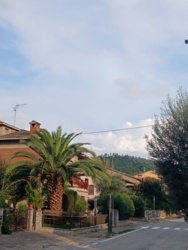 025b9ebf-ddb2-495c-aa1d-b7d1e1e183ff