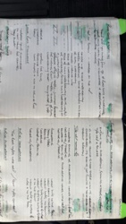 f9d84297-d9b4-432a-80c8-d7139d838a79