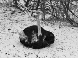 e3204bd2-a505-48d4-8fd5-4fcb6d4d03bf