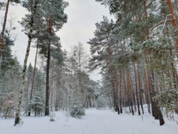 12231699-4067-4834-a769-419ed98e734e