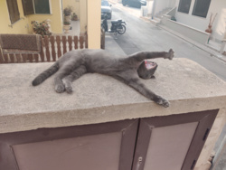 8123e663-907d-4742-b86c-049b827d1c3d