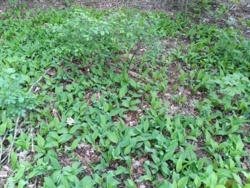 fcabbcaf-efa1-484f-bc62-4cd2bb510ec3