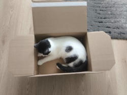 47a5caa7-d9d5-491a-a682-c8f7b1ea9ec6