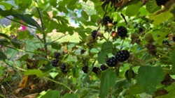 fc671231-8492-4d41-934f-f27fb894c950