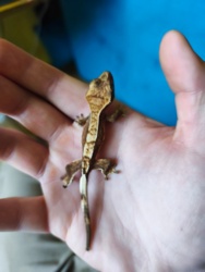 05a16743-d646-4d6f-95cf-e645b75153de