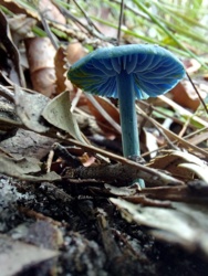 5557eecd-7cf1-4b4f-961d-7c6a4fc4aff9