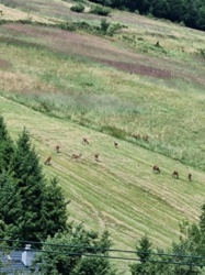 b34ec3ca-6186-414e-b941-114c9ab467ec