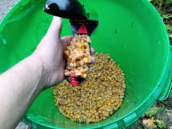 4824d9e8-2b7a-46a8-b10f-22d9847c0bd0