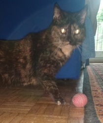 64fa81ae-4820-49f9-b59b-757e3a4720d0