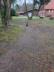 9b5e4a8b-ad8d-4655-abce-321669c92177