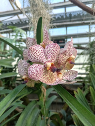 a6cafbff-f1f5-414c-aea2-b98fe58ee673