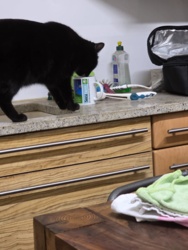 143c98ec-7e5a-480b-8c29-30e75cced4ec