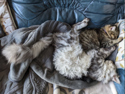 685df91e-2dc6-4310-97ad-2557a542704c