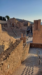 02f20656-a924-4286-b723-0a31d9ce61bd