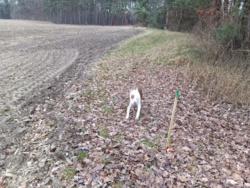 10034022-8801-4af5-ac6c-5b127b1aa2d8