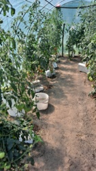 669abef7-fb4f-444a-b658-261f74469870