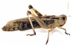 91c8d9e0-15a5-4019-9eff-ca038b29f3c6