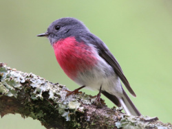 c6aab686-ece6-432f-b10b-9519aeb68265