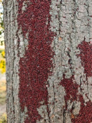 284efb78-c01e-4326-abd4-3b5ac062f7ac