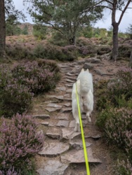 d9f11207-c5f1-46c2-9262-d4fbd1c8d7f2