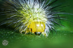 728e670a-4ec0-453b-a94a-1f2885fa80ee