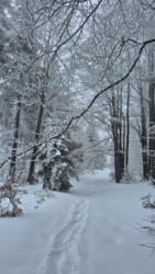 c226cded-1be9-4faa-b13e-8f83a409a582