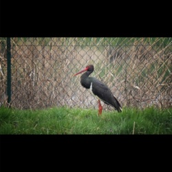 ac0807f7-e4fe-47fd-a227-424cdcdc01aa