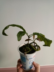 9b2d1ba8-4906-4a79-882b-dc7970794169