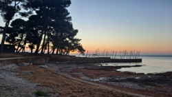 d7d70b8e-b98c-4e88-8080-abbc59106b70