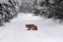 e4c79935-e497-4d0e-b794-9d629e3d1eb6