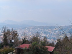 391d7613-0011-4758-9832-d1e7a984de13