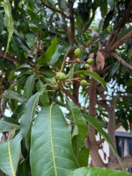 8589125a-b077-4b6a-8e8c-50639c8e8bf6