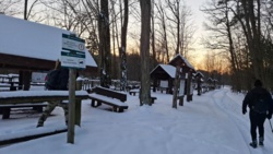 337855c0-397a-49a7-80c5-b40d0e0684f5