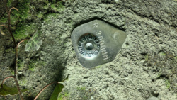 87bedc2b-3c04-4ce3-b0d6-bbd5511057be