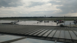 3d5c41f0-0452-455a-80a6-86991182b71f