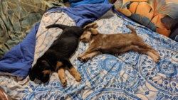 f1fc7d4d-8ecd-46cb-b29f-812c85c41f2b