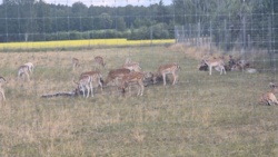 4b32fb86-ec9e-4e77-b5f2-4f72ab309e2a