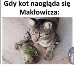 325728b1-9e28-43f4-b634-b07b66fb3f20