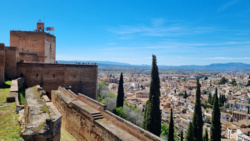 4b6de472-8331-4331-9462-2cdb90fa47e5