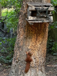 3c5cd8b4-a618-400d-bd1e-afbac9c6cb5e