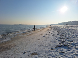 efd323b3-c859-4aa3-b9f4-1b9142934aad