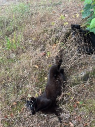 ee20b2e4-7766-4d13-b69e-e387f168acc7