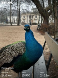 9b9a1c42-51d4-4b1f-b557-a08e0ab5dd7b