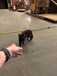 f4d1c96b-b09c-46a9-a8af-3a648c33be64