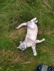 b7226a52-64c5-4837-a64a-160dd02e34fd